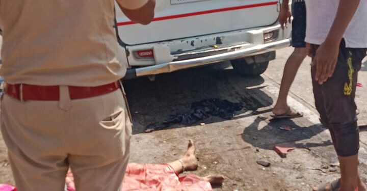 माळशेज घाटात भीषण अपघात; एसटी बस-स्कॉर्पिओ धडकेत ३ ठार, ५ जखमी