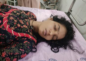 राजुरा-बामणी मार्गावरील वर्धा नदी पुलावरून महिलेची उडी; उपचार सुरू