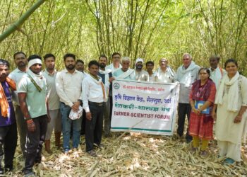 वाढत्या तापमानाच्या संकटावर ‘पिक विविधता’ हा उत्तम पर्याय – डॉ. जीवन कतोरे