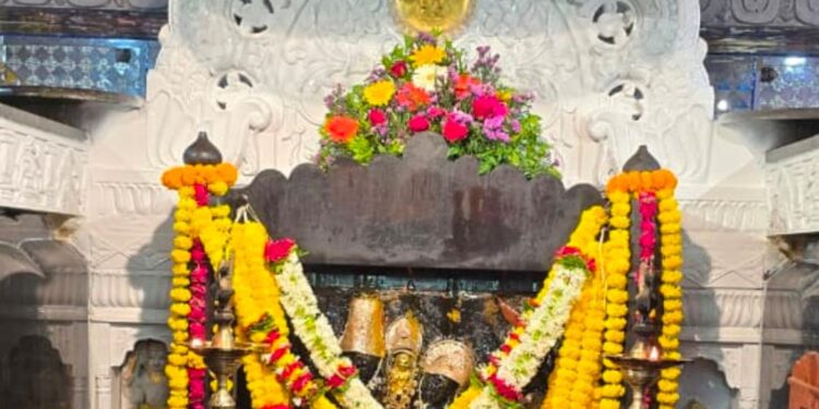 श्री शनिदेव जयंती व शनी अमावस्या निमित्त शनिमांडळ येथे भाविकांची मोठी गर्दी