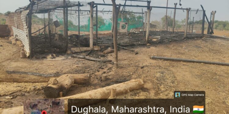दुघाळा येथे भीषण आग; शेतकरी दिवाकर पवार यांचा संसार जळून खाक