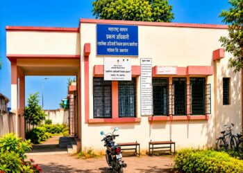 व्हेरिफिकेशन पूर्ण, तरीही अनुदान रखडले; आदिवासी विकास योजनेतील लाभार्थ्यांचा सवाल