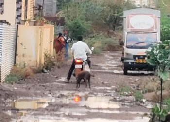 पावसामुळे माने नगर परिसरातील रस्त्यांची दुरवस्था; प्रशासन व लोकप्रतिनिधींनी लक्ष देण्याची नागरिकांची मागणी