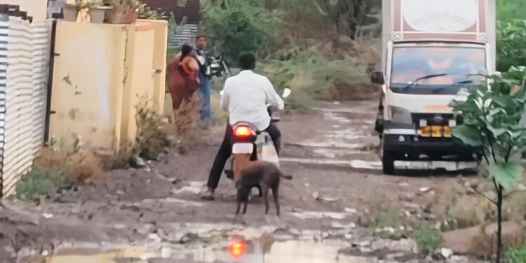पावसामुळे माने नगर परिसरातील रस्त्यांची दुरवस्था; प्रशासन व लोकप्रतिनिधींनी लक्ष देण्याची नागरिकांची मागणी