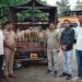 स्थानिक गुन्हे शाखेची दमदार कामगिरी; हायवेवरून चालत्या ट्रकमधून चोरी झालेल्या मेंढ्या २४ तासांत जप्त