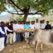 कामगार नेते रूपेश भाऊ मिसाळ यांचा वाढदिवस गौमातांना चारा वाटप करून साजरा; वेळे येथील गोशाळेत मोठा उपक्रम