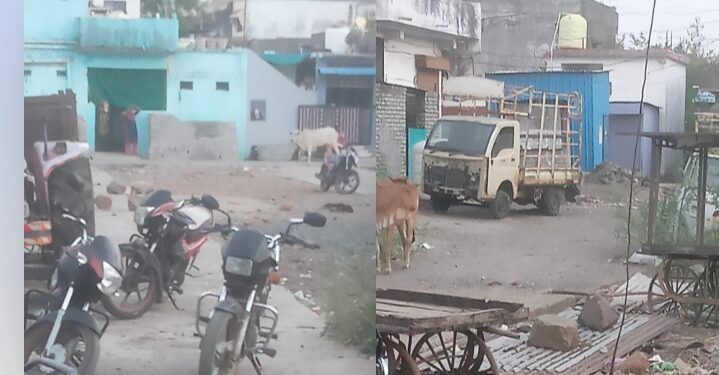 मारेगाव बाजारवाडी रस्त्यांवर अतिक्रमण; नागरिकांकडून तातडीने कारवाईची मागणी