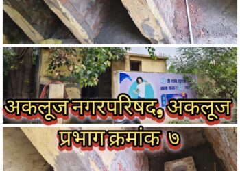 विकासनगर येथे महिला शौचालयाच्या कामास सुरुवात