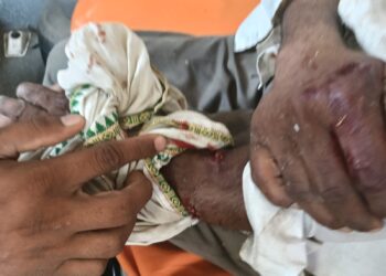 जंगली अस्वलाच्या हल्ल्यात आई-मुलगा गंभीर जखमी