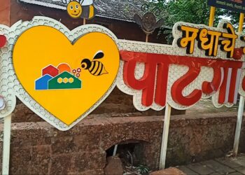 पाटगांव: निसर्ग, इतिहास आणि समृद्धीचा त्रिवेणी संगम
