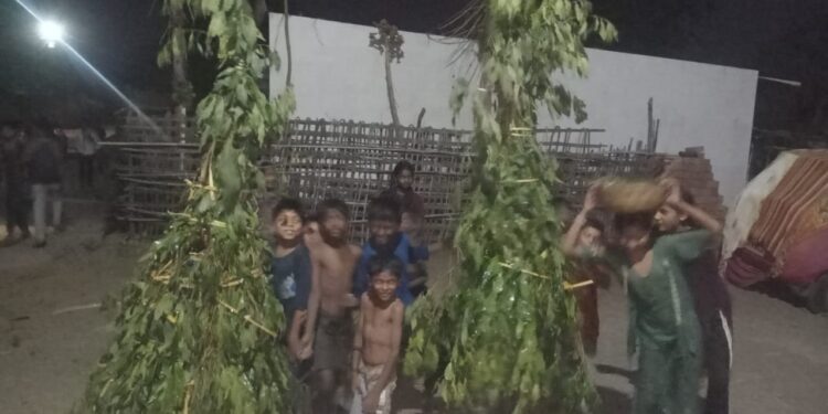 मेळघाटात गावोगावी पारंपरिक ‘भावाई पूजे’चा उत्साह; निसर्ग आणि संस्कृतीचा अनोखा संगम