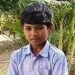 तिसफोडीपाडा जि.प. शाळेचा विद्यार्थी सहन पावरा राज्यस्तरीय परीक्षेत चमकला