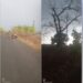 वादळामुळे झाड कोसळून विजेच्या तारा तुटल्या; सुदैवाने जीवितहानी टळली