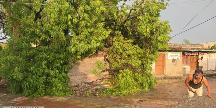 खापरदेव हिवरा येथे वादळी वाऱ्यासह गारपीट; घरे, शेती, फळबागा आणि जनावरांचे मोठे नुकसान
