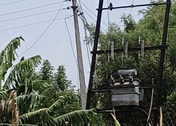 महावितरणच्या अनियमित वीजपुरवठ्यामुळे पंढरपूर तालुक्यातील शेतकरी दुहेरी संकटात