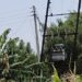 महावितरणच्या अनियमित वीजपुरवठ्यामुळे पंढरपूर तालुक्यातील शेतकरी दुहेरी संकटात