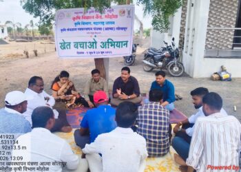 जागतिक पर्यावरण दिनानिमित्त वृक्षारोपण; हरित भविष्यासाठी शेतकऱ्यांचा पुढाकार