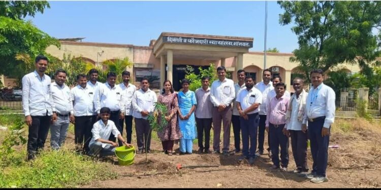 मानवत न्यायालयात ‘जागतिक पर्यावरण दिन’ साजरा; विविध प्रकारच्या वृक्षांचे रोपण