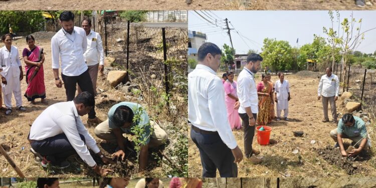 हिंगणी व धामणगाव येथे जागतिक पर्यावरण दिनानिमित्त वृक्षारोपण; पर्यावरण संवर्धनाचा दिला संदेश