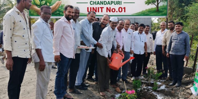ओंकार साखर कारखान्यात पर्यावरण दिनानिमित्त वृक्षारोपण कार्यक्रम उत्साहात