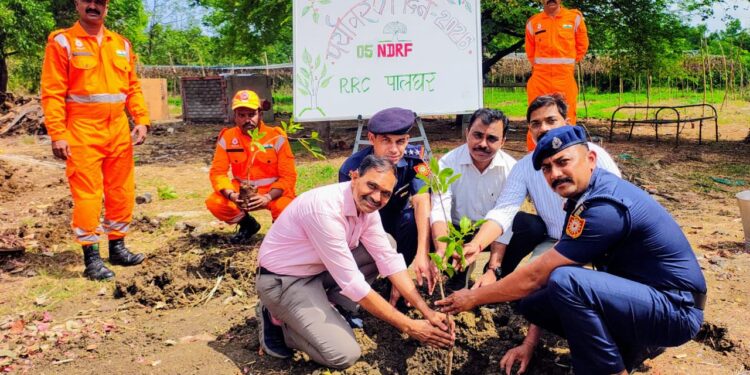 जागतिक पर्यावरण दिनानिमित्त ५०० फळझाडांचे वृक्षारोपण; पर्यावरण संवर्धनाचा संदेश
