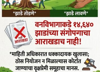 झाडे फक्त तोडणार की लावणारही? १४,६४० झाडांच्या संगोपनाचा आराखडाच नाही; माहिती अधिकारातून धक्कादायक खुलासा