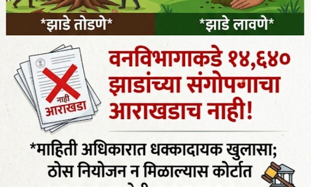 झाडे फक्त तोडणार की लावणारही? १४,६४० झाडांच्या संगोपनाचा आराखडाच नाही; माहिती अधिकारातून धक्कादायक खुलासा