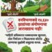 झाडे फक्त तोडणार की लावणारही? १४,६४० झाडांच्या संगोपनाचा आराखडाच नाही; माहिती अधिकारातून धक्कादायक खुलासा