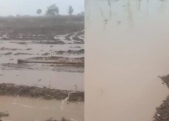 जामखेड तालुक्यातील मतेवाडीला मुसळधार पावसाचा तडाखा; शेतशिवारात पाणी, गल्लीबोळ जलमय