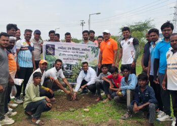 वन महोत्सवानिमित्त हरित संदेश; वृक्षारोपणासह क्रिकेट स्पर्धेत उत्स्फूर्त सहभाग