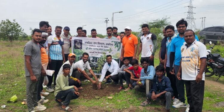वन महोत्सवानिमित्त हरित संदेश; वृक्षारोपणासह क्रिकेट स्पर्धेत उत्स्फूर्त सहभाग