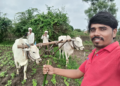 पावसाअभावी कोंडशी-असोला शिवार व औंढा नागनाथ परिसरातील पिके धोक्यात; शेतकरी चिंतेत