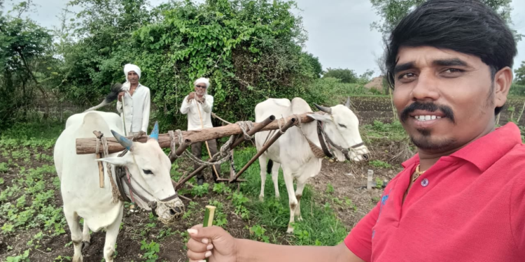 पावसाअभावी कोंडशी-असोला शिवार व औंढा नागनाथ परिसरातील पिके धोक्यात; शेतकरी चिंतेत