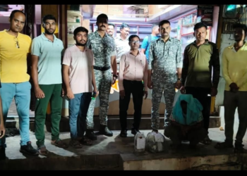आलापल्लीत अमली पदार्थांविरोधात मोठी कारवाई; गांजा व चिलमसह एक जण अटकेत