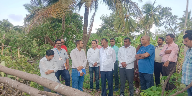 वादळी पावसाचा कुडणला तडाखा; केळी बागांचे लाखो रुपयांचे नुकसान, मदतीची शेतकऱ्यांची मागणी