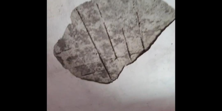 ठाकर आडगाव येथील बालवाडीची दुरवस्था; चिमुरड्यांच्या सुरक्षिततेचा प्रश्न ऐरणीवर