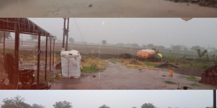 मतेवाडी परिसराला जोरदार पावसाने झोडपले; पिकांना जीवदान मिळाल्याने बळीराजा सुखावला