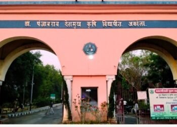 अकोला स्थित डॉ.पंजाबराव देशमुख कृषी विद्यापिठ द्वारा स्थाई चौकिदार वर छल,तथा अन्याय। दोषीला विद्यापिठ प्रशासन द्वारा पाठीशी घालुन मिळत आहे अभय.?