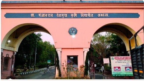 अकोला स्थित डॉ.पंजाबराव देशमुख कृषी विद्यापिठ द्वारा स्थाई चौकिदार वर छल,तथा अन्याय। दोषीला विद्यापिठ प्रशासन द्वारा पाठीशी घालुन मिळत आहे अभय.?