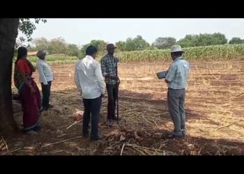 वाहेगाव साळ येथील जमीन मोजणीत गैरप्रकार? महसूल मंत्र्यांचे चांदवड भूमी अभिलेख कार्यालयाला तातडीच्या चौकशीचे आदेश!