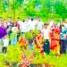 जागतिक आदिवासी दिनानिमित्त वृक्षारोपण; मान्यवरांसह महिला मंडळाचा सहभाग