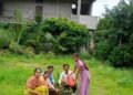 जिजाऊ प्रशासकीय महाविद्यालयात वृक्षारोपण…