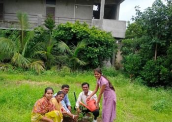 जिजाऊ प्रशासकीय महाविद्यालयात वृक्षारोपण…