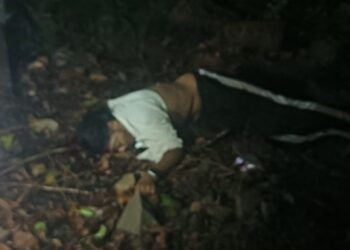 साटेली-भेडशी येथे सुसाट मोटारसायकलचा भीषण अपघात;