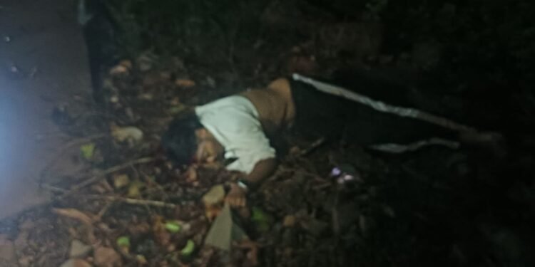 साटेली-भेडशी येथे सुसाट मोटारसायकलचा भीषण अपघात;