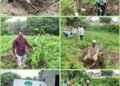 वननेस वन सेवा – सीझन -६ अंतर्गत वृक्षारोपणाचा पावन कार्यक्रम रहीमाबाद येथे अत्यंत उत्साहपूर्ण व भक्तिमय वातावरणात संपन्न झाला.