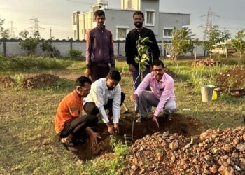 रोटी येथे वाढदिवस व विविध समारंभांच्या निमित्ताने वृक्षलागवड; ग्रामस्थांच्या सहकार्याने परिसर संवर्धनाचा उपक्रम