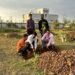 रोटी येथे वाढदिवस व विविध समारंभांच्या निमित्ताने वृक्षलागवड; ग्रामस्थांच्या सहकार्याने परिसर संवर्धनाचा उपक्रम