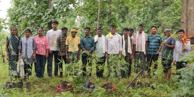 ग्रामसभा चटवाबोडचा श्रमदानातून वृक्ष लागवडीचा उपक्रम*