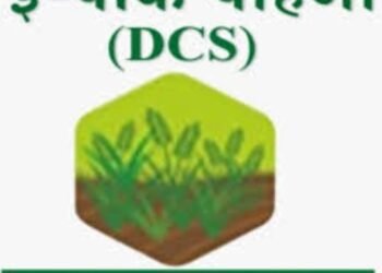डिजिटल पीक पाहणीचा नवा पॅटर्न शेतकऱ्यांसाठी चिंताजनक; मुदतीत काम पूर्ण होणार की शेतकऱ्यांची अडवणूक करून खिसे गरम केले जाणार?